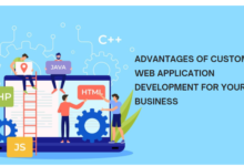 advantages-of-custom-web-application-development-for-your-business