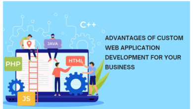 advantages-of-custom-web-application-development-for-your-business