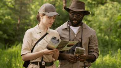 first-time-kenya-safari-guide:-what-to-expect-and-how-to-plan