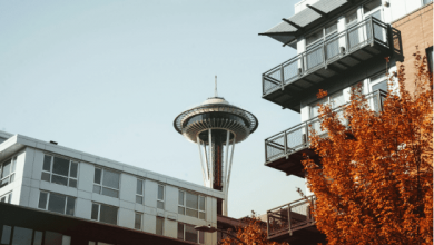 how-seattle’s-home-trends-are-inspiring-smarter-fencing-and-outdoor-spaces